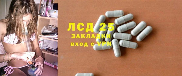 PSILOCYBIN Аркадак