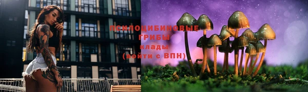 PSILOCYBIN Аркадак