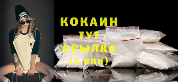 PSILOCYBIN Аркадак
