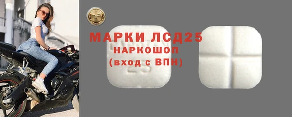 PSILOCYBIN Аркадак