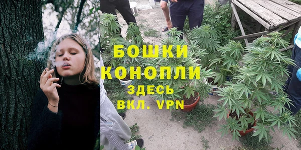 PSILOCYBIN Аркадак