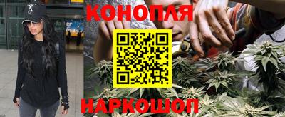 трава Аргун