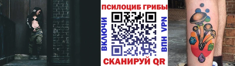 Галлюциногенные грибы мицелий  Бийск 