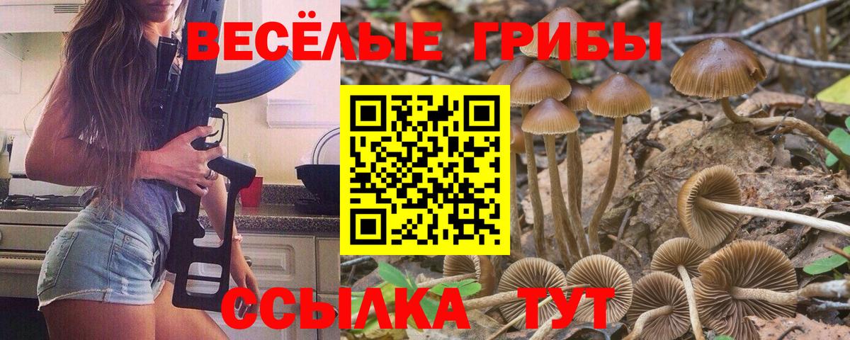 Псилоцибиновые грибы ЛСД  Вход с VPN  Галлюциногенные грибы мухоморы  сколько стоит  Бийск 