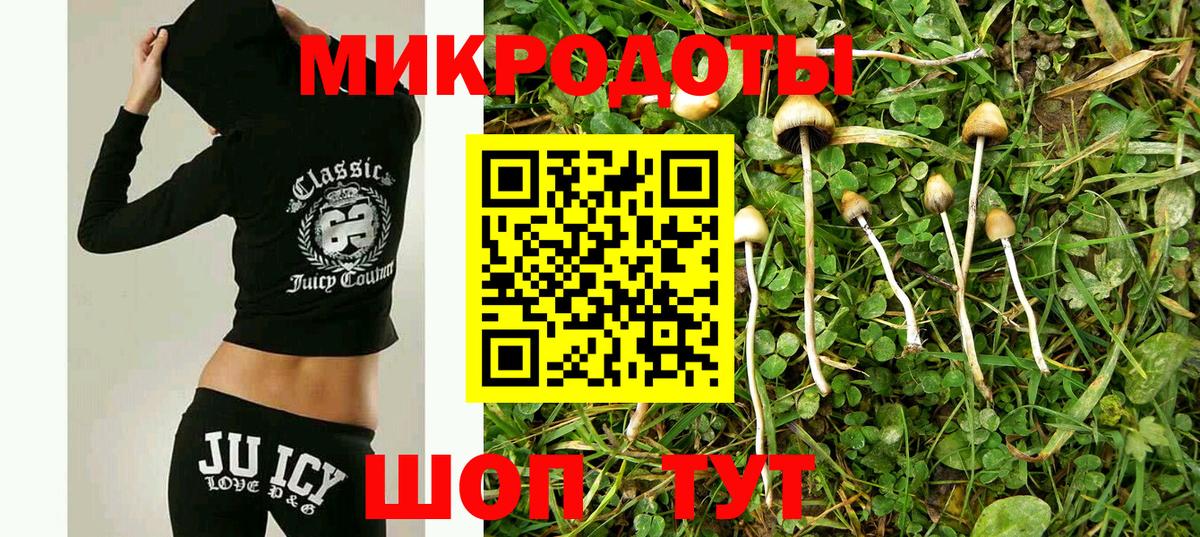 Галлюциногенные грибы ЛСД Бийск